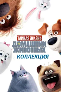 Тайная жизнь домашних животных